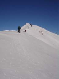 081124_A_siamo in 57.JPG